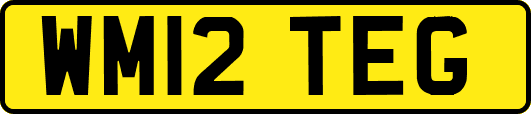 WM12TEG