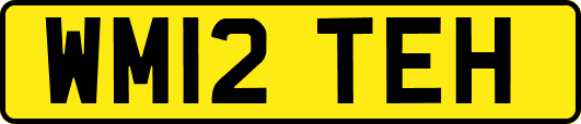 WM12TEH