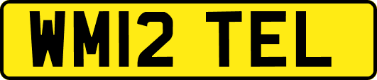 WM12TEL