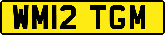 WM12TGM