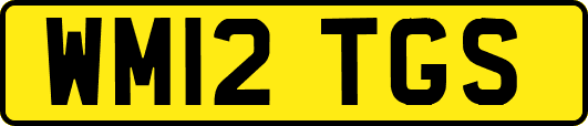 WM12TGS