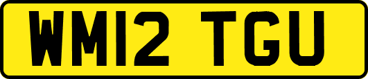 WM12TGU