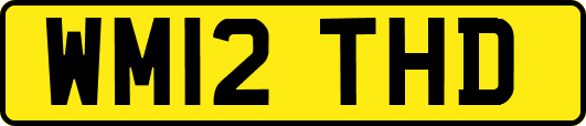 WM12THD