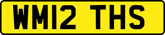 WM12THS