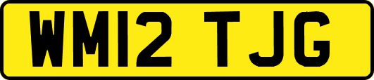 WM12TJG