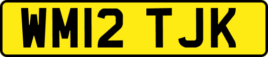 WM12TJK