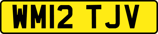 WM12TJV