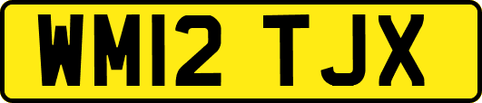 WM12TJX