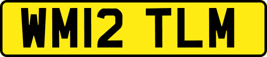WM12TLM