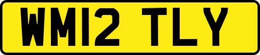 WM12TLY