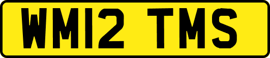WM12TMS