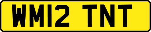 WM12TNT