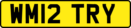 WM12TRY
