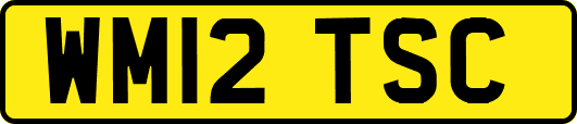 WM12TSC