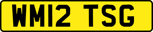 WM12TSG