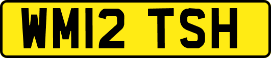 WM12TSH