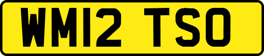 WM12TSO