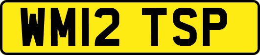 WM12TSP