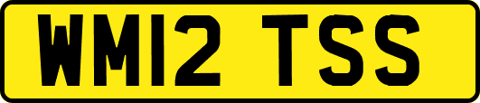 WM12TSS