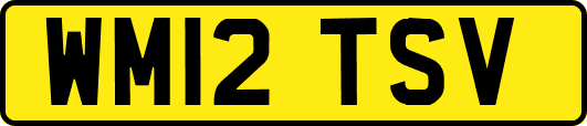 WM12TSV