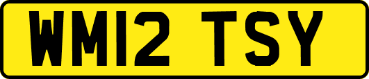 WM12TSY