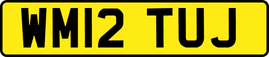 WM12TUJ
