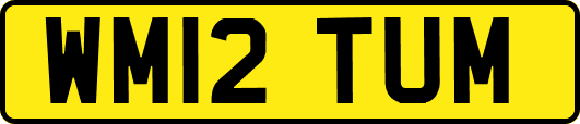 WM12TUM