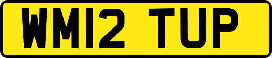 WM12TUP