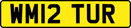 WM12TUR