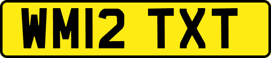 WM12TXT