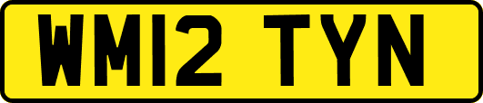 WM12TYN