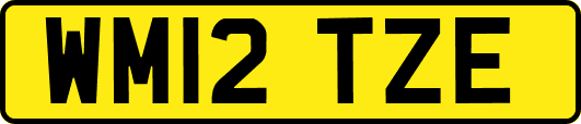 WM12TZE