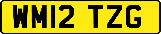 WM12TZG