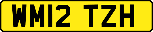 WM12TZH