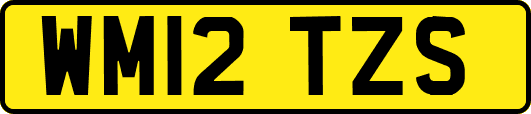 WM12TZS