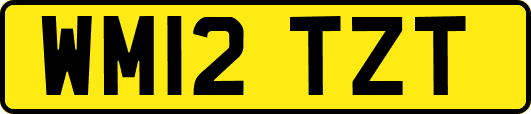 WM12TZT