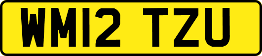 WM12TZU