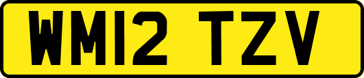 WM12TZV