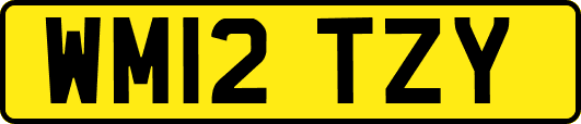 WM12TZY