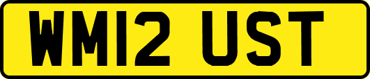WM12UST