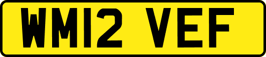 WM12VEF