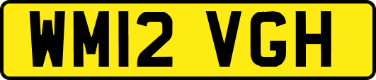 WM12VGH