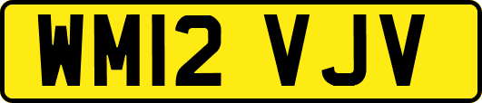 WM12VJV