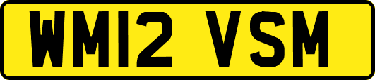 WM12VSM