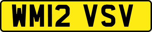 WM12VSV