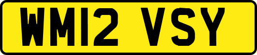 WM12VSY