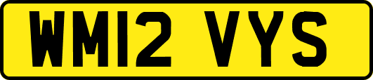 WM12VYS