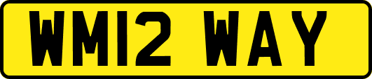 WM12WAY