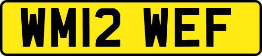 WM12WEF