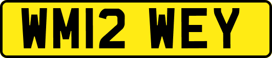 WM12WEY